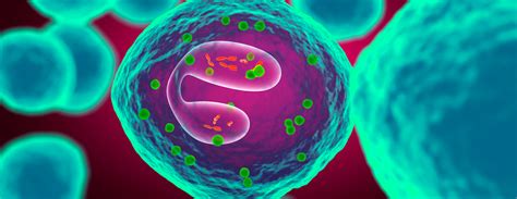 What Is A High Eos Absolute Hot Sale | www.simpleplanning.net