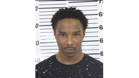 Police chase leads to arrest of 3 - one a convicted felon - after ...