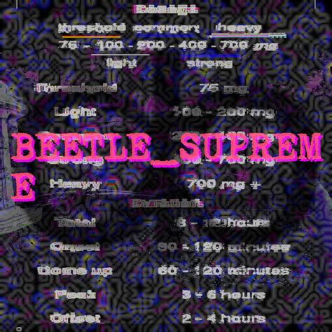 Lessons in Dissociation by BEETLE_SUPREME (Album, Trap): Reviews ...