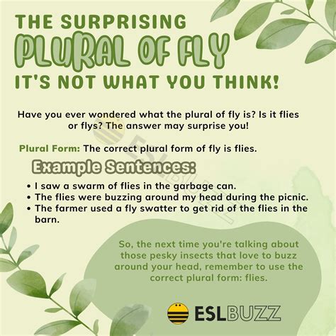 The Plural of A Noun Archives - Page 7 of 22 - ESLBUZZ
