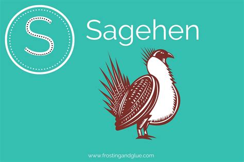 370 Spectacular Animals that Start with S