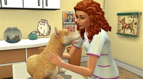 Image result for Sims 4 Install Script Mods