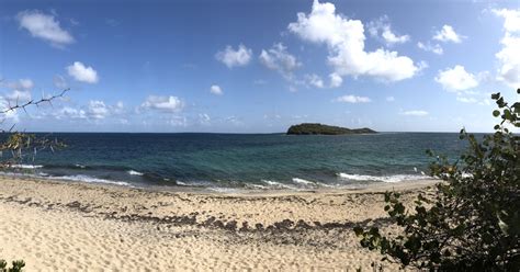 Coastal Program restoration work aims to save endangered St. Croix ...