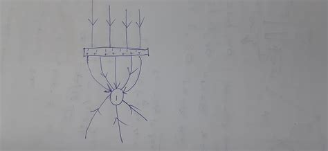 Draw the pattern of electric field lines, when a point charge - q is ...