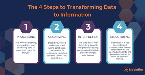 Information Data 的图像结果