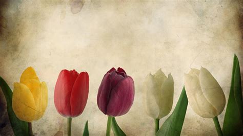Vintage Flowers Wallpapers - Wallpaper Cave