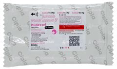 Budecort 0.5mg Respules: Uses, Side Effects, Price & Substitutes