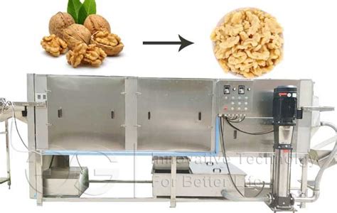 Image result for Walnut Processing Machine