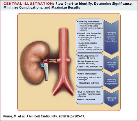 Renal Artery Stenosis Treatment