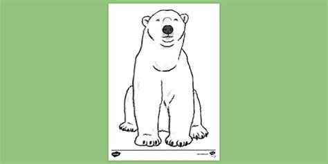 Polar Bear Colouring Sheet 5 | Colouring Sheets