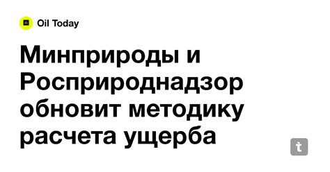 Минприроды и Росприроднадзор обновит методику расчета ущерба окружающей ...