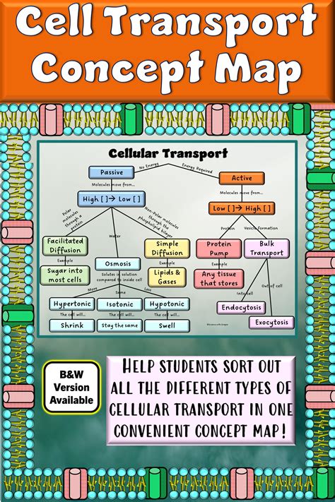 Cellular Transport Concept Map