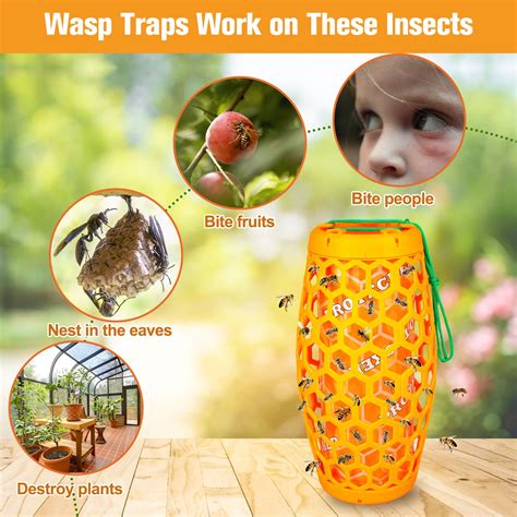 Paper Wasp Trap Rescue TSW Visilure TrapStik For Wasps 3 TRAPS