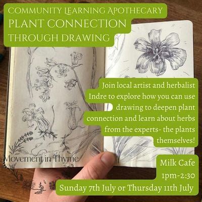Plant Connection Through Drawing- Community Learning Apothecary ...