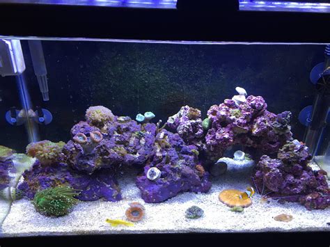 10 Gallon Reef Tank Led Lighting EKIEUDL Black Full Spectrum Fish Tank