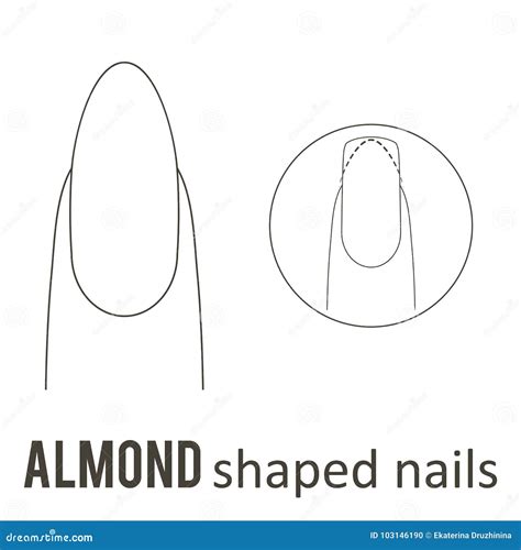 Almond Nail Template
