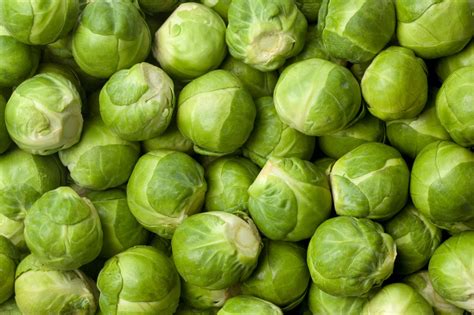 How to Grow Brussels Sprouts in Containers