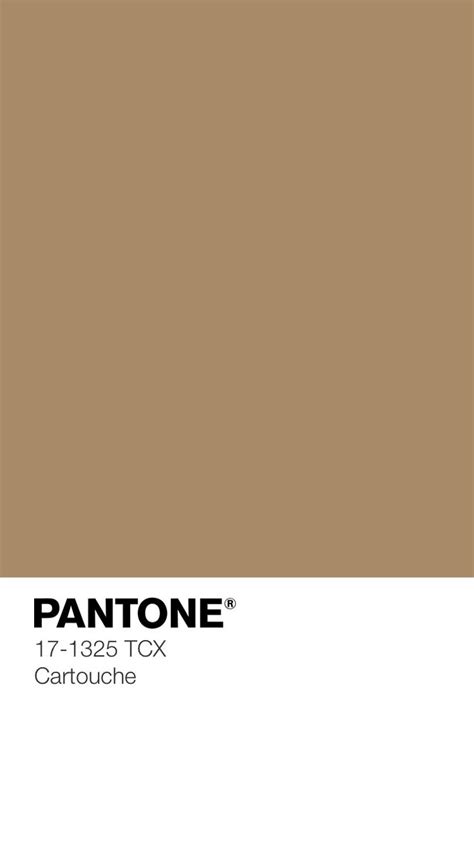 Image result for Colors in Python Program