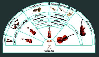 Image result for Orchestra Sections