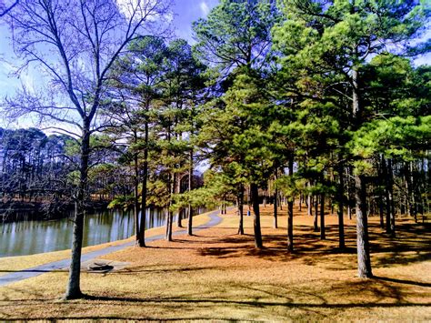 35 Pictures That Will Make You Fall In Love With Lake Willastein In ...