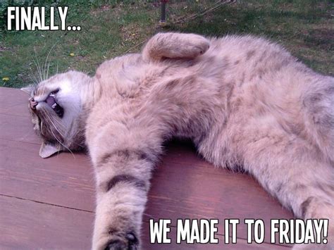 17 Best images about Finally friday on Pinterest | Feelings, On friday ...