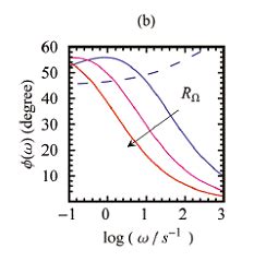 Significant Research Contributions of Prof. Rama Kant
