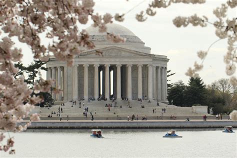 Free stock photo of cherry blossoms, jefferson memorial, monument ...