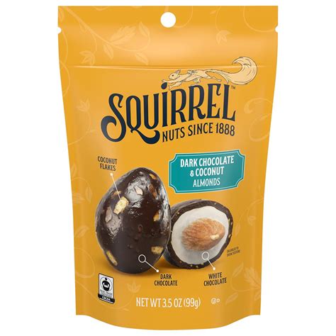 Amazon.com: Squirrel Brand Dark Chocolate & Coconut Almonds, 3.5 Ounces ...