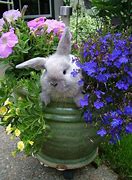 Image result for Cartoon Bunny with Flowers