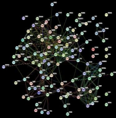 Image result for Cytoscape Network Analysis Tutorial