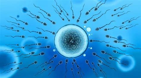 精子卵子的N种“死”法，看完才知道孕育一个生命有多难！-搜狐大视野-搜狐新闻