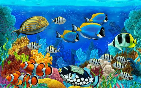 Sea Life Wallpaper 的图像结果