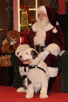 Santa pics help Animal Aid | Mississauga.com