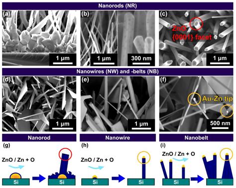 Laser-Induced Au Catalyst Generation for Tailored ZnO Nanostructure Growth