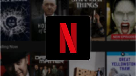 Image result for Netflix Inc.