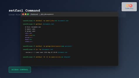 Image result for Setfacl Linux