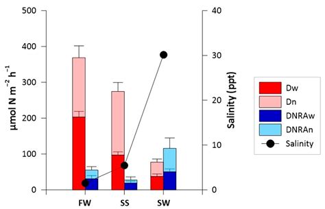 Drought-Induced Salinity Intrusion Affects Nitrogen Removal in a ...