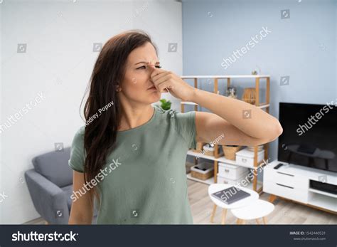 32,433 House Smelling Images, Stock Photos & Vectors | Shutterstock