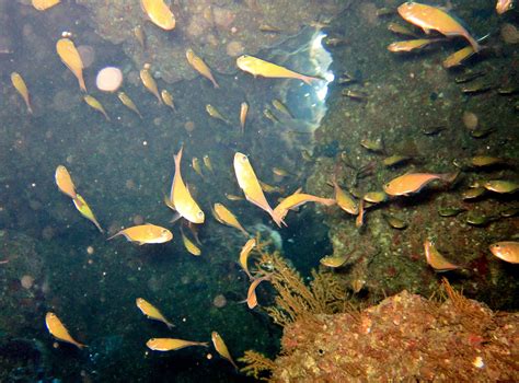 Tau’t Batu Cave Dwellers: Indigenous Rock Shelter Communities of Palawan