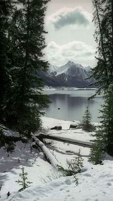 Winter Wallpaper For Phone by Free Winter Wallpapers For Iphone Pixelstalk Net Winter Wallpaper For Phone