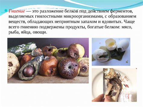 Презентация ОПД.02 "Организация хранения и контроль запасов и сырья ...