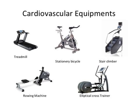 Study on the growth of fitness equipment