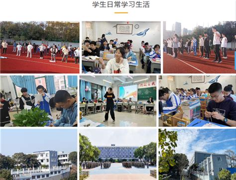杭州市十大高三复读学校名单榜首一览
