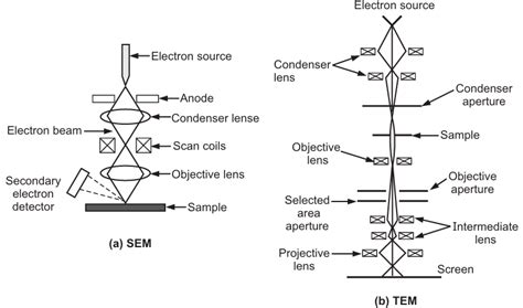 Electron Microscope Principle 的图像结果