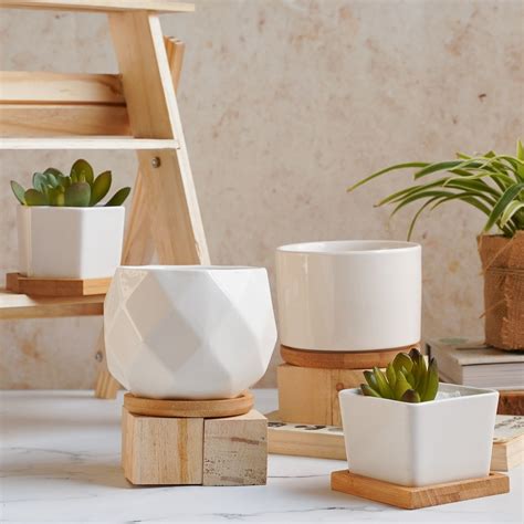 Mini Planters for Interior Styling | Nestasia