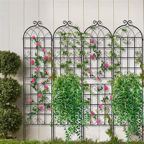 Topcraft 80-in W x 86.7-in H Black Steel Scroll Garden Trellis (4-Pack ...