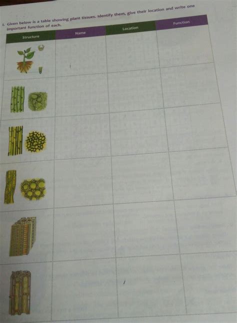 1. Given below is a table showing plant tissues. Identify them, give ...