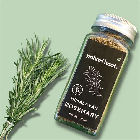 Himalayan Rosemary – My Pahadi Dukan