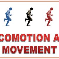 Locomotion and Movement PPT Biology Class 11