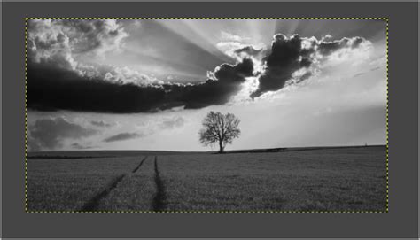 Java Black and White 的图像结果